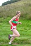 Click for Harriers photos