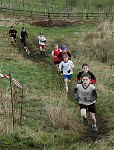 Click on thumbnail for larger photo