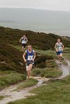 Click on thumbnail for larger photo
