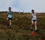 Click on thumbnail for larger photo