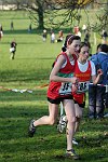 Click on thumbnail for larger photo