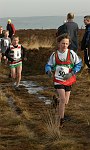 Click on thumbnail for larger photo