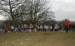 Click on thumbnail for larger photo