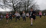 Click on thumbnail for larger photo
