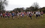 Click on thumbnail for larger photo