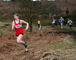 Click on thumbnail for larger photo