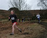 Click on thumbnail for larger photo