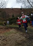 Click on thumbnail for larger photo