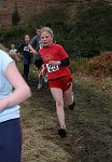 Click on thumbnail for larger photo
