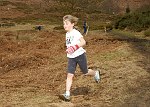 Click on thumbnail for larger photo