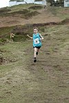 Click on thumbnail for larger photo
