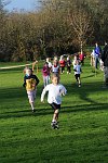 Click on thumbnail for larger photo