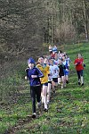 Click on thumbnail for larger photo