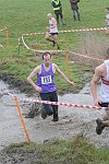 Click on thumbnail for larger photo