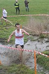 Click on thumbnail for larger photo