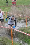 Click on thumbnail for larger photo