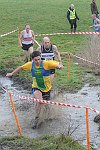 Click on thumbnail for larger photo