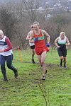 Click on thumbnail for larger photo