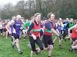 Click on thumbnail for larger photo