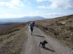 Click on thumbnail for larger photo