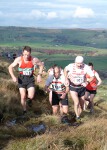 Click on thumbnail for larger photo