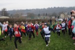 Click on thumbnail for larger photo